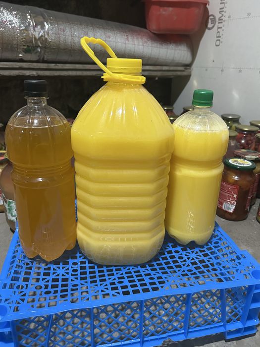 Продам катонский мёд