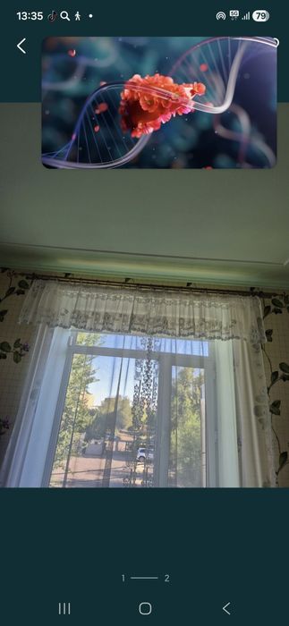 Продаю тюль в пяти расцветках