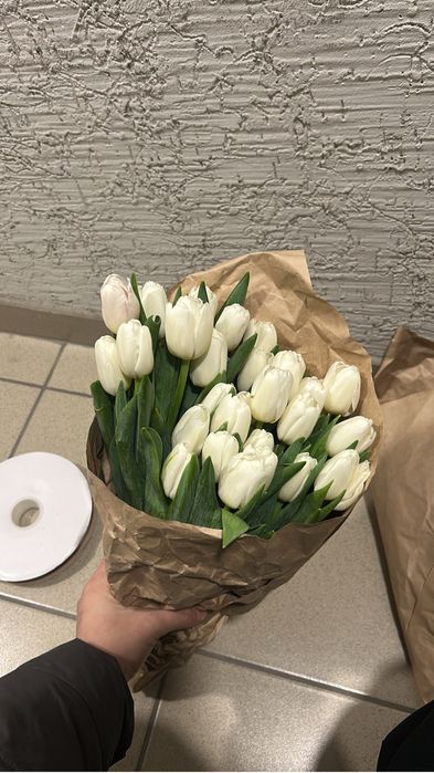 тюльпаны розница 450тг