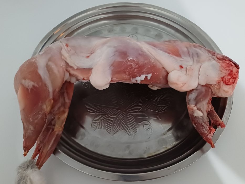 Продам мясо кроликов