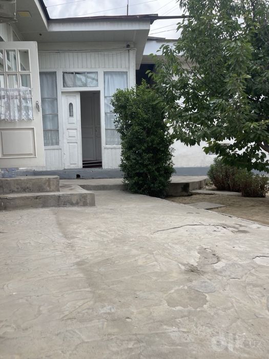 Xovli sotiladi fayizli uy 3,5 sotix
