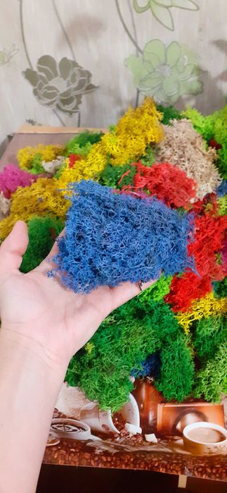 ПРОМО! Скандинавски мъх 20 лв.