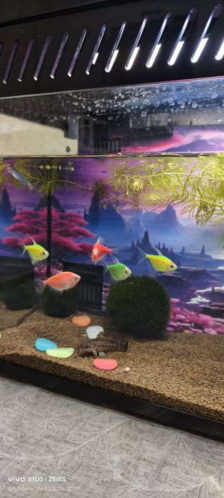 Умный аквариум Mijia Xiaomi