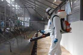 Услуги Дезинфекции