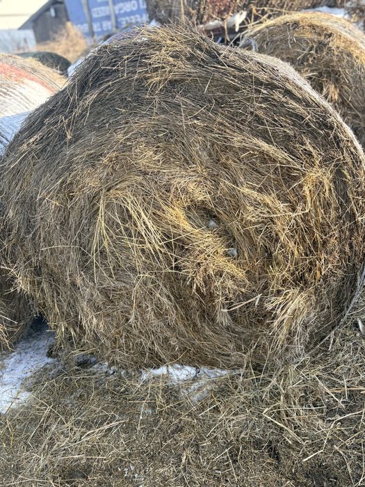 Vand baloti de fan, ne inveliti  intr o stare foarte buna !