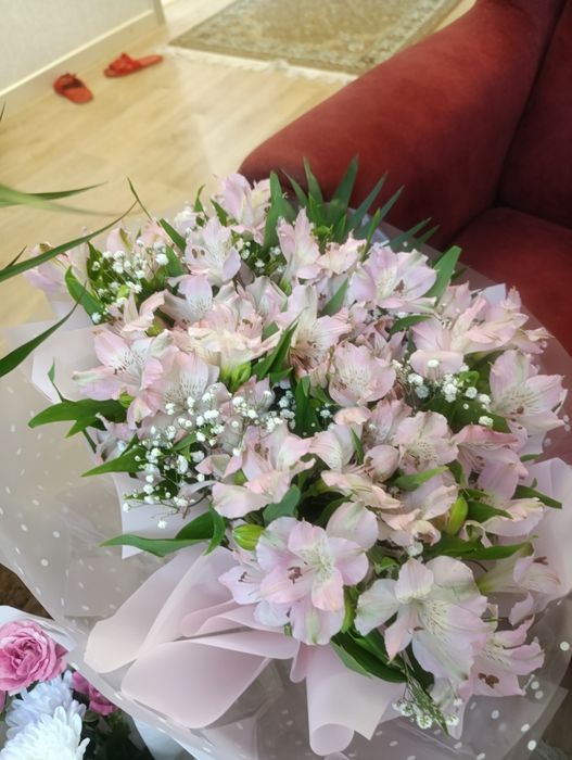 Цветы свежие красивые дешево