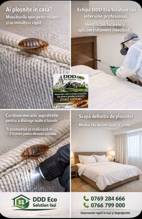 Servicii DDD - Dezinsecție, dezinfecție, deratizare