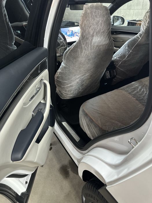 Byd chempion gibrid 150