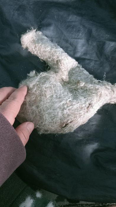 Настоящие гнездо ремеза