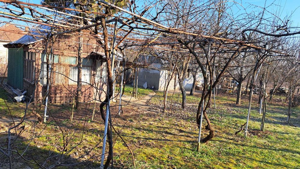 De vânzare loc de casă – Sat Niuved, Comuna Tămășeu