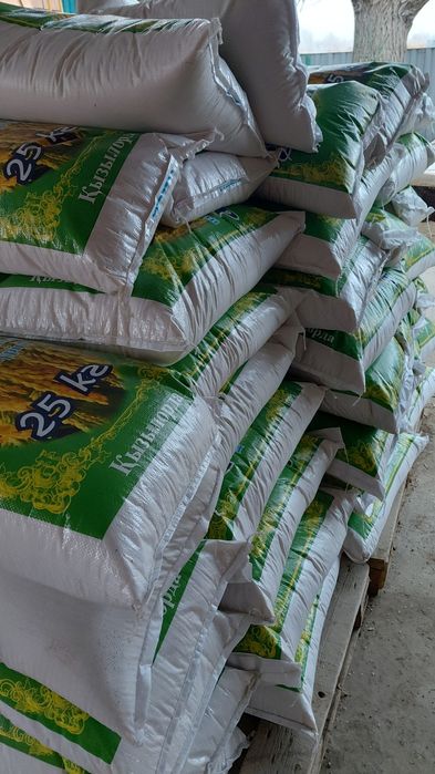 Лидер күріш бар 2 тонна