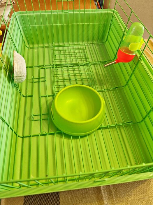 Curscă  rozătoare (Iepure/ Porcușor de Guineea/ Șinșila/ Veveriță)