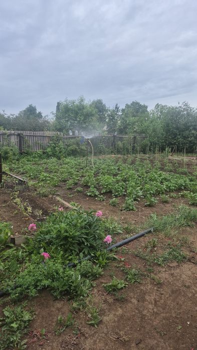 Продам дачу пк каучук в Темнртау.
