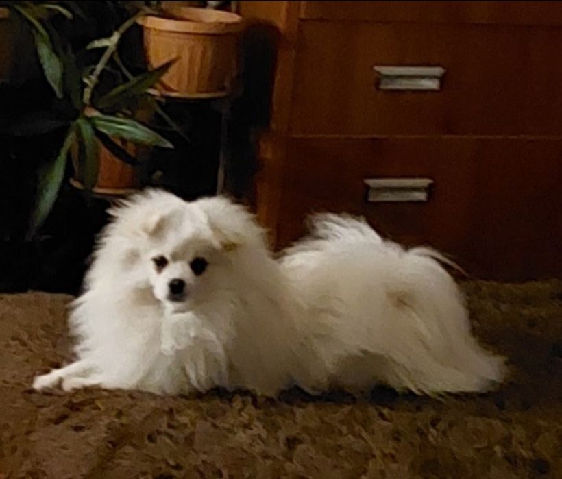 Ищем    подружку