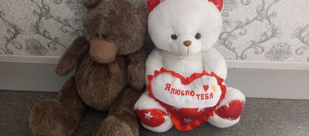 Yumshoq o‘yinchoq ikkalasiyam kotta aloxida sotilmidi