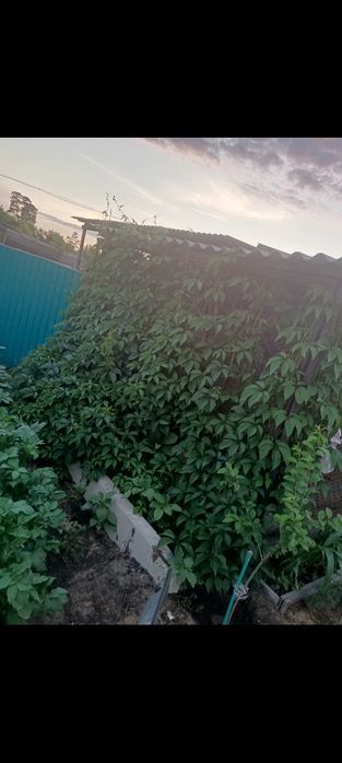 Продам дом Аманкарагай