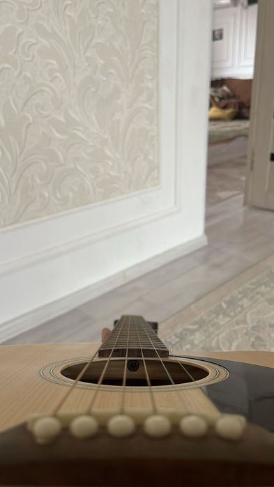 Fender (Fender Musical Instruments Corporation)