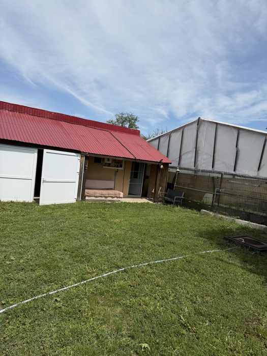 Vand casa cu livada in suprafata de 1000 mp