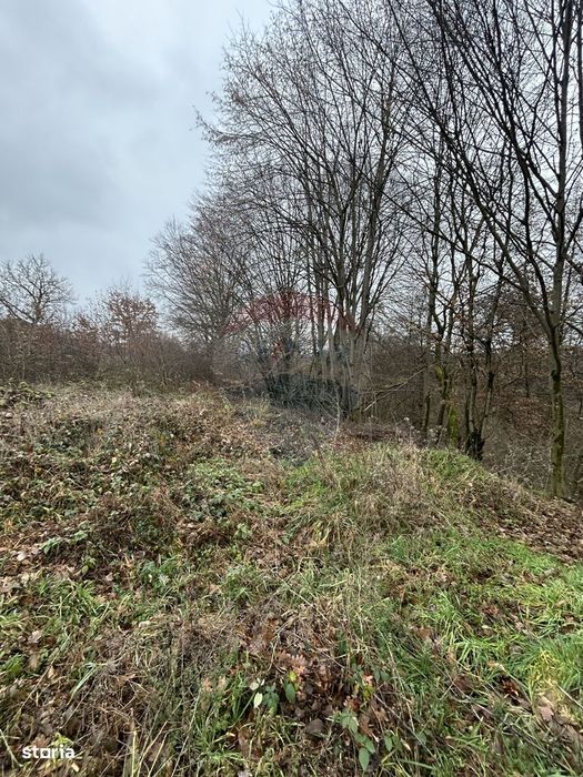 Teren 1,200mp si 400m2 cota drum Satu Nou de Jos / Strada Principala