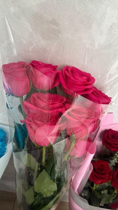 Свежый гүлдер бар