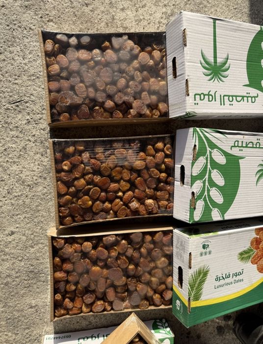 Финики Сукари, Қурма