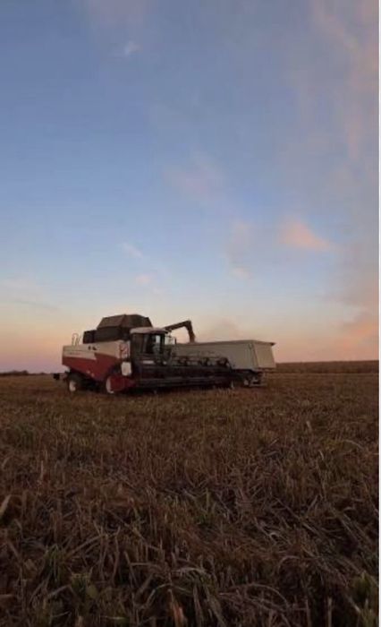 Сельхоз земля в аренду