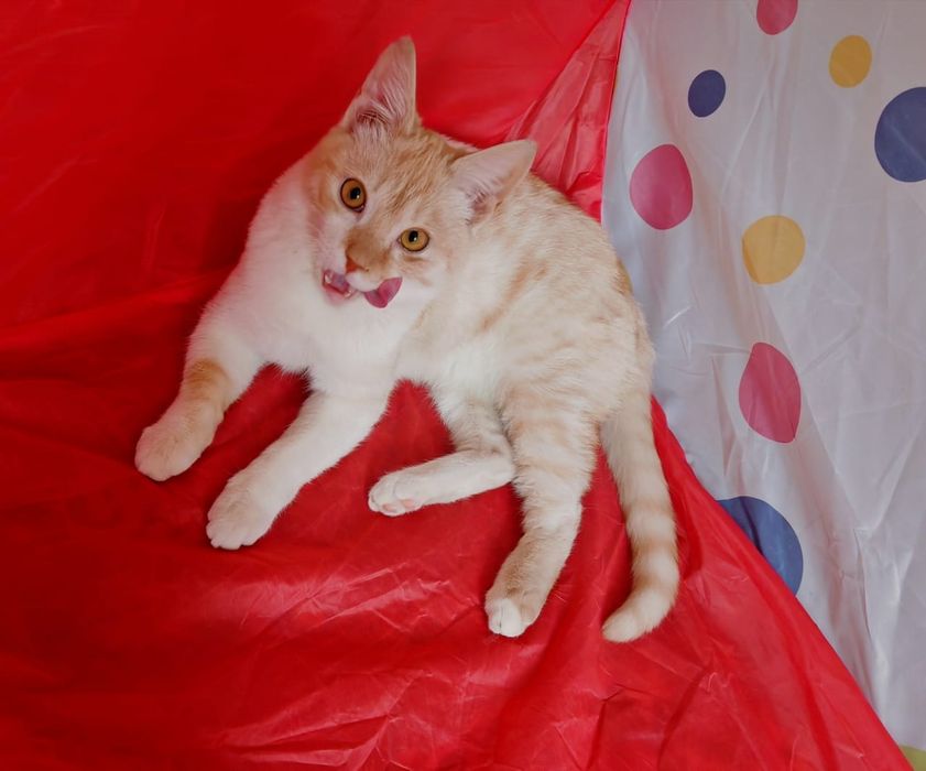 Мальчик 7 месяцев