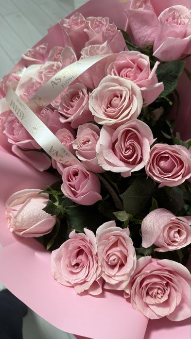 Цветы , роза ,новые