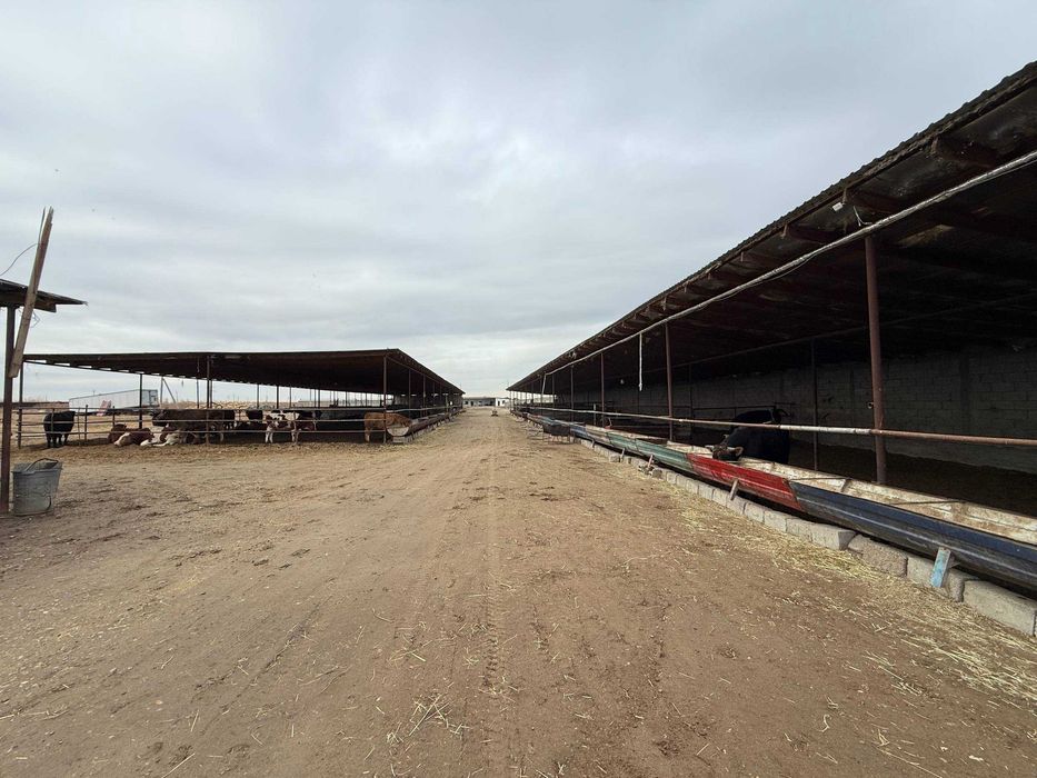 TAYYOR 4 GEKTARLI JOY Sotiladi #a730