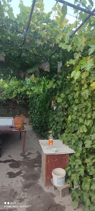 Дача сатылады ,екі бөлмелі,6 соттық жері бар.