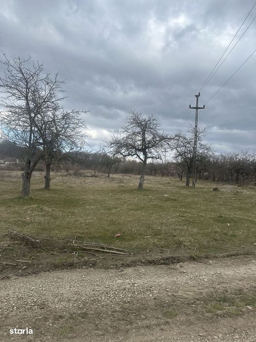 Campina - teren intravilan 4400mp - 17 Euro/mp