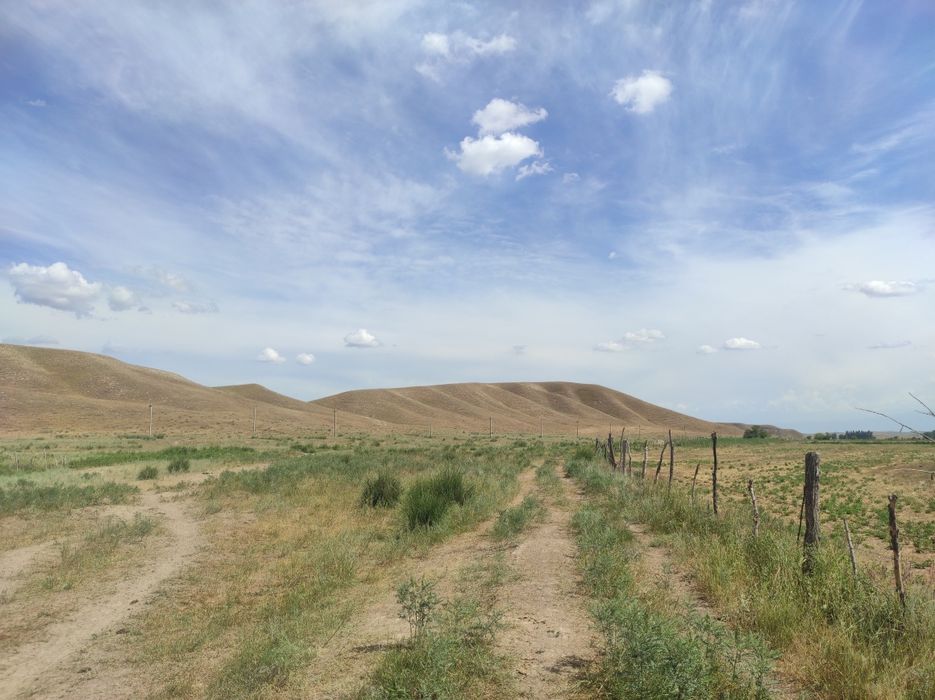 Срочно продам участок 12.5 га