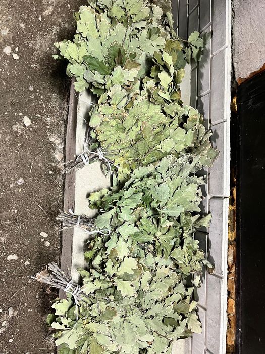 веники для бани..,