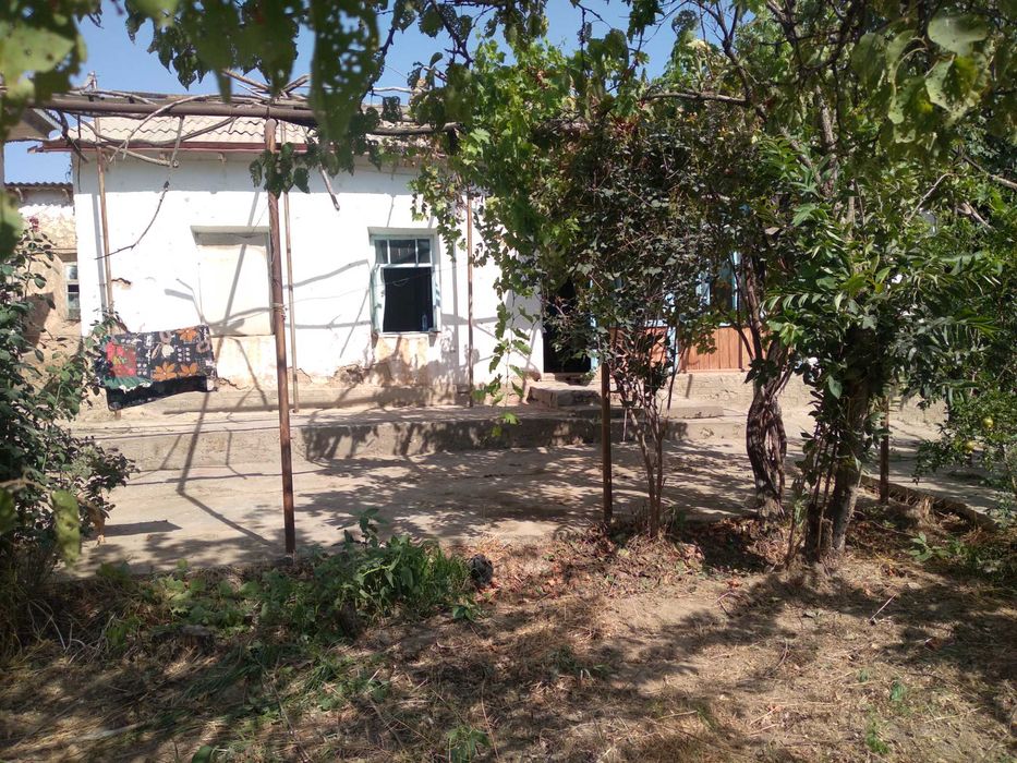 Yakkabog` tumanida 17 sotixli hovli sotiladi