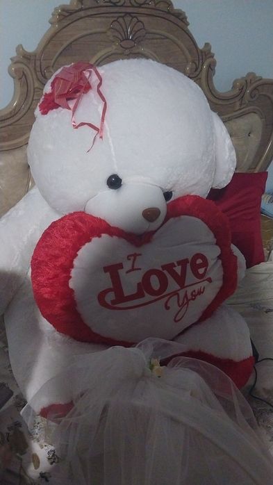 160sm Teddy ayiwi satiladi