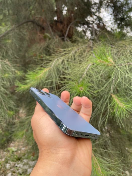 Iphone 13 pro 256