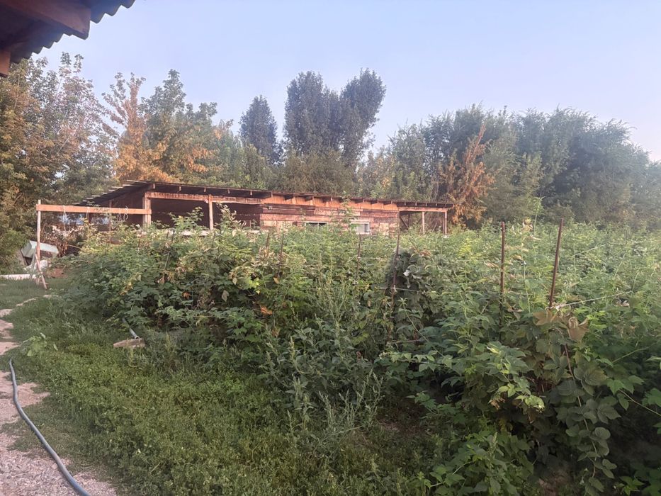 Продается дом Чубар