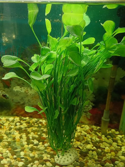 Продам декорацию куст .