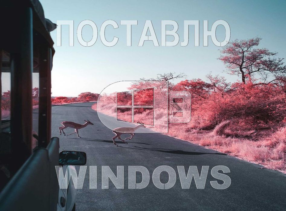 Виндос 11 | 10 оригинал и программой office для Виндовс