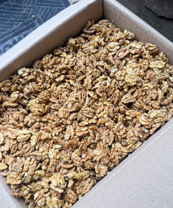 Vindem miez de nuca sortat!