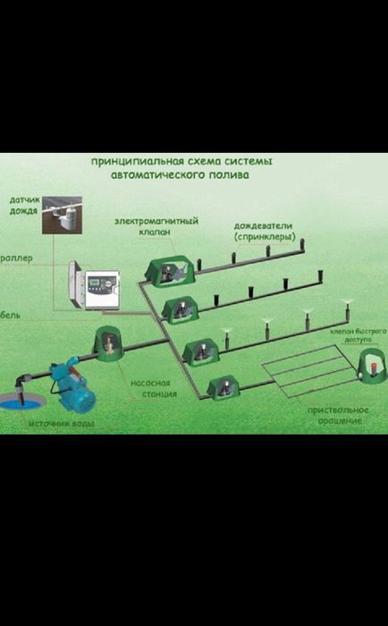 Автопалив и газон