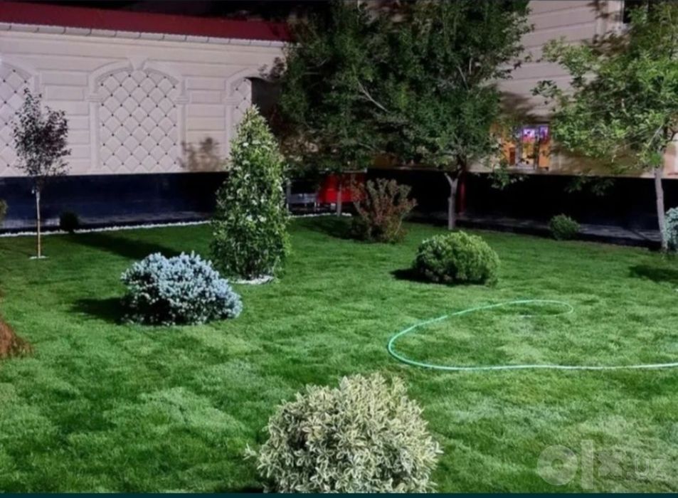 Lanshaft va gazonlar hizmati