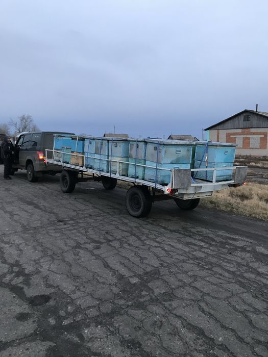 Пчело прицеп улья