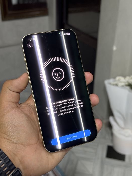 IPhone 13 Pro Max 256 gb