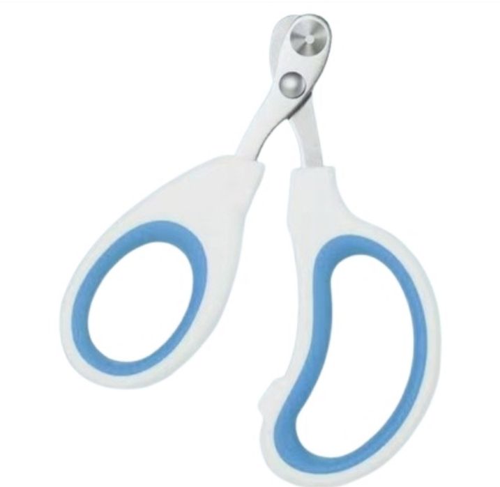 Шотландский вислоухий