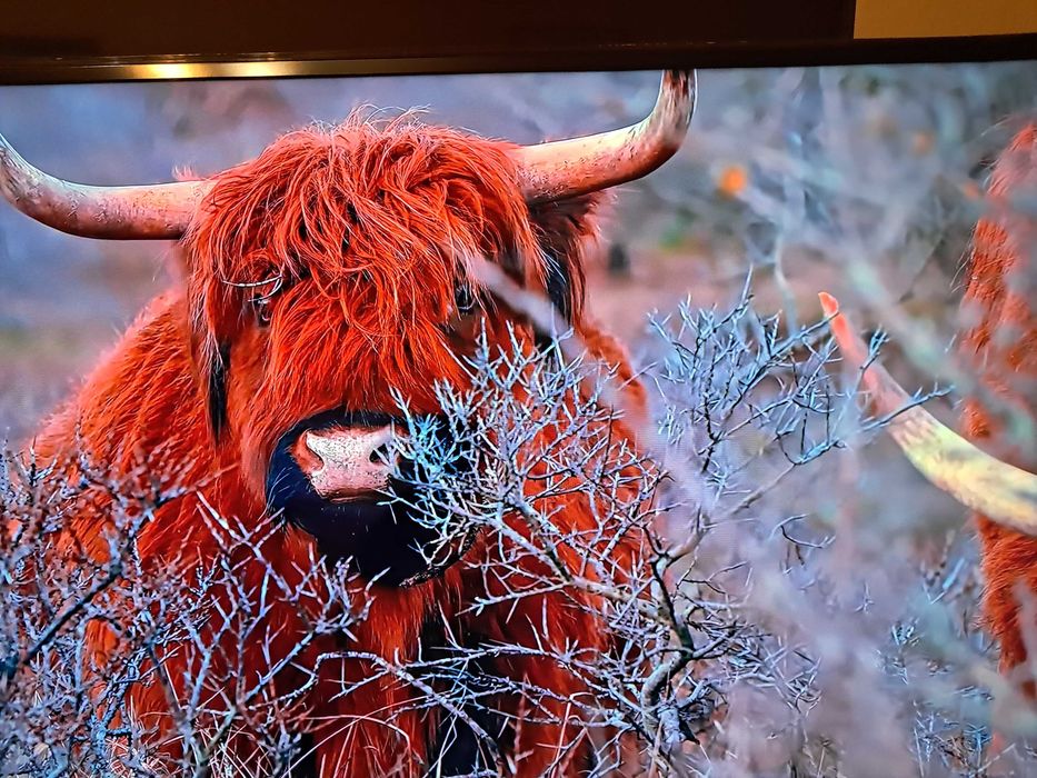 Телевизор  32 lg 82см  диагональ смарт .гарантия .