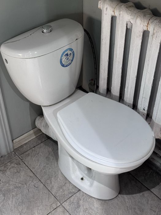 Санузел, Туалет в нормальном состочнит