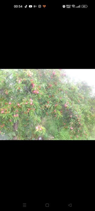 Продам дачу район ГМЗ