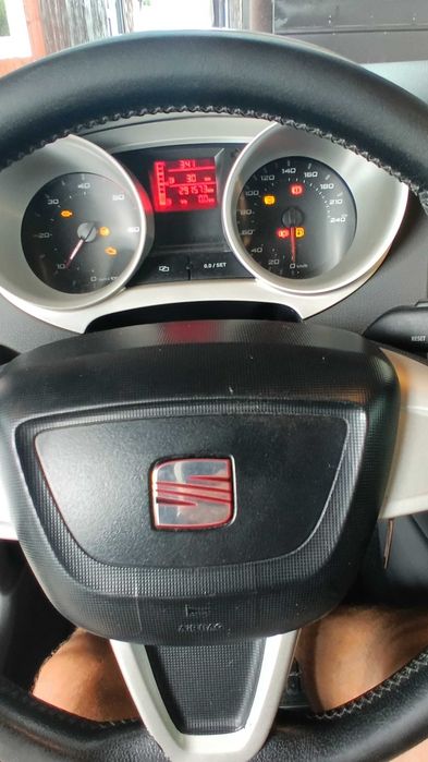 SEAT Ibiza 2009 — imagine 2