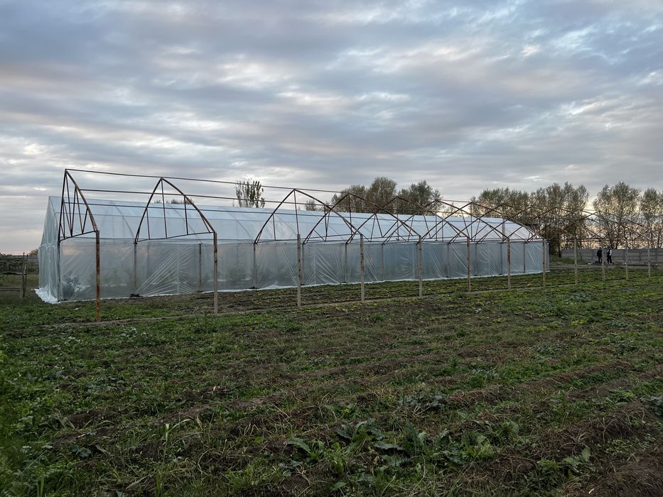 Иссик хона - Теплица